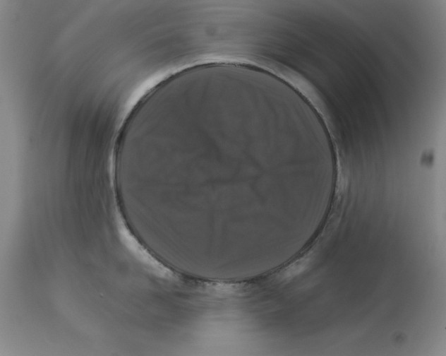 X0000113930958200910231918