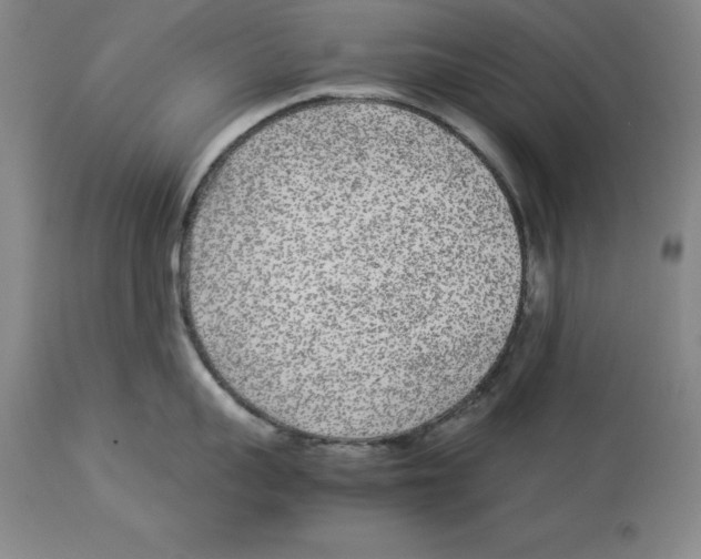 X0000113930959200910231918