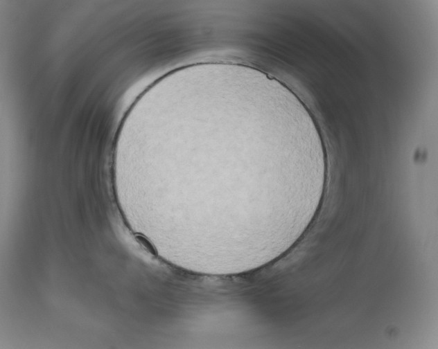 X0000113930960200910231918
