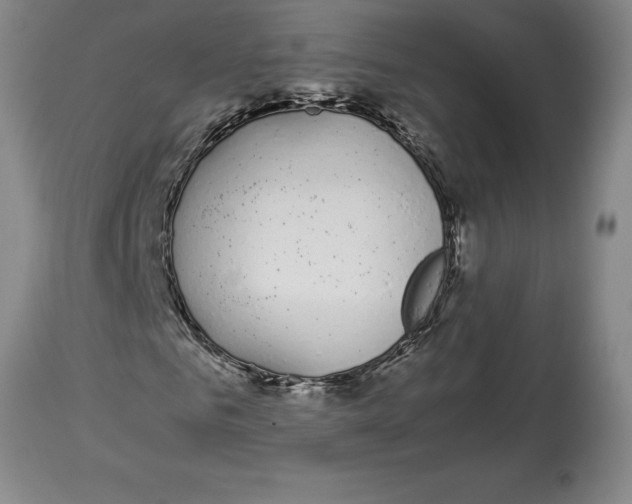 X0000113930961200910231918