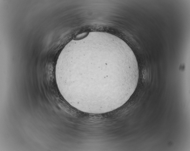 X0000113930964200910231918