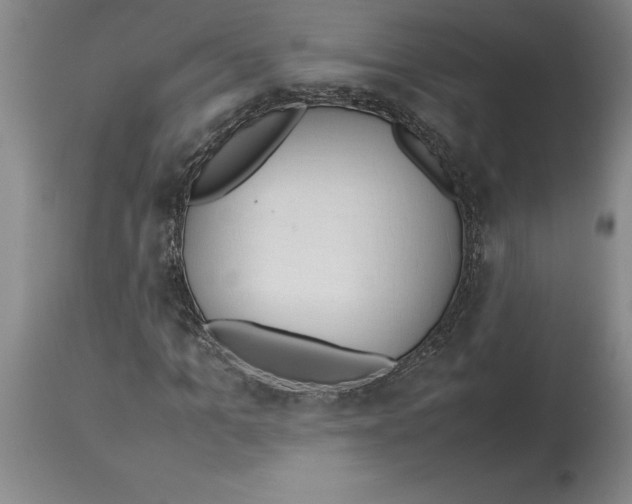 X0000113930965200910231918