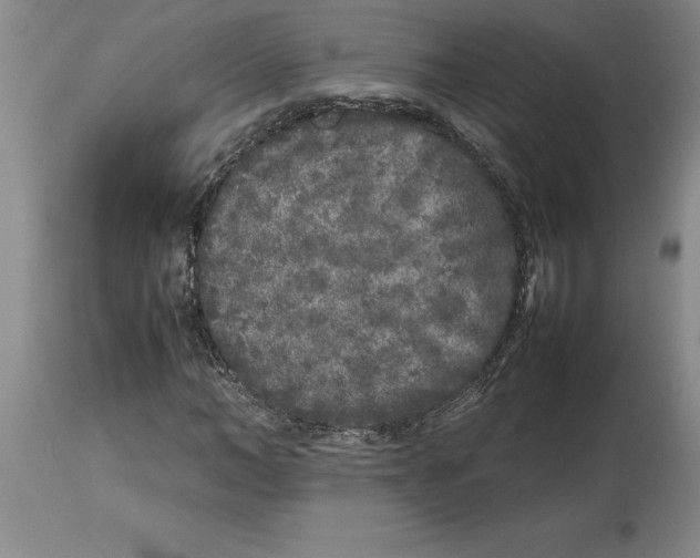 X0000113930966200910231918