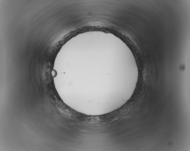 X0000113930968200910231918