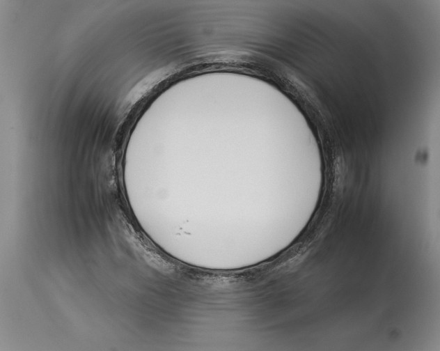 X0000113930970200910231918