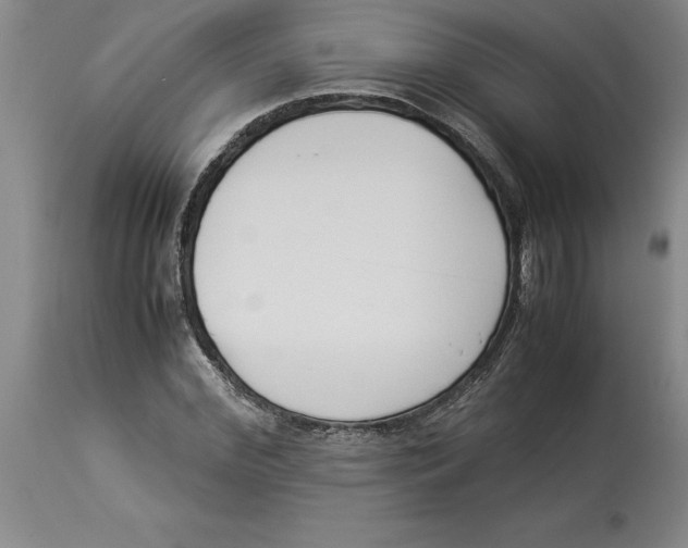X0000113930972200910231918