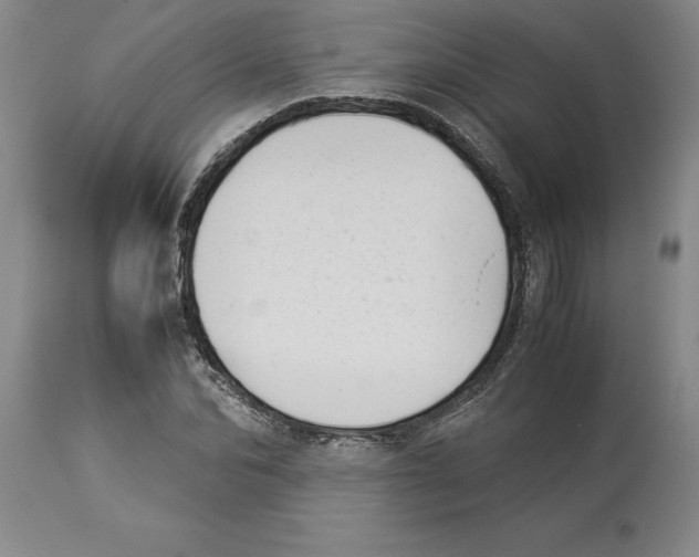 X0000113930974200910231918