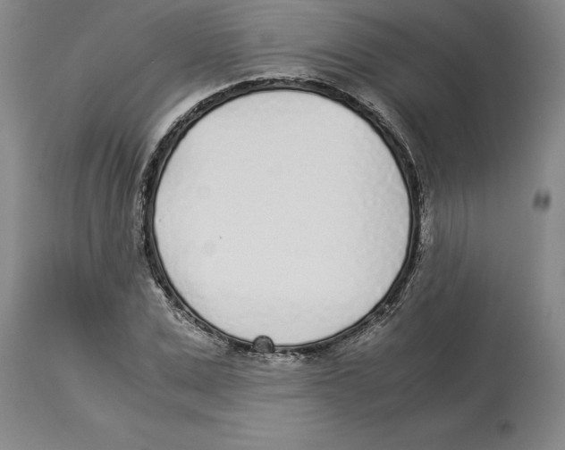 X0000113930975200910231918