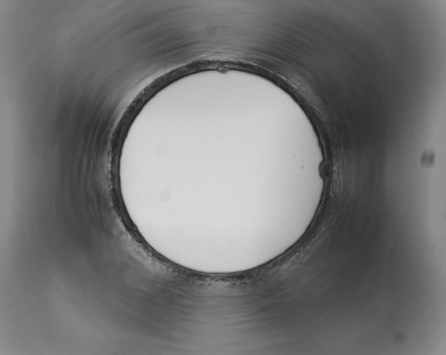 X0000113930976200910231918