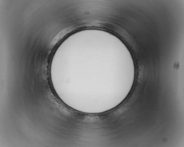 X0000113930978200910231918