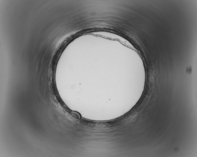 X0000113930979200910231918