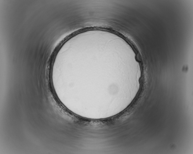 X0000113930983200910231917