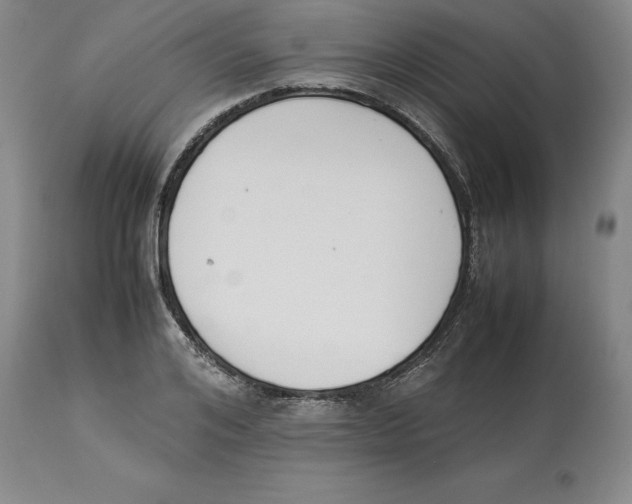 X0000113930984200910231917