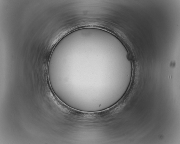 X0000113930985200910231917