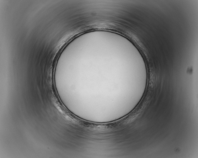 X0000113930986200910231917