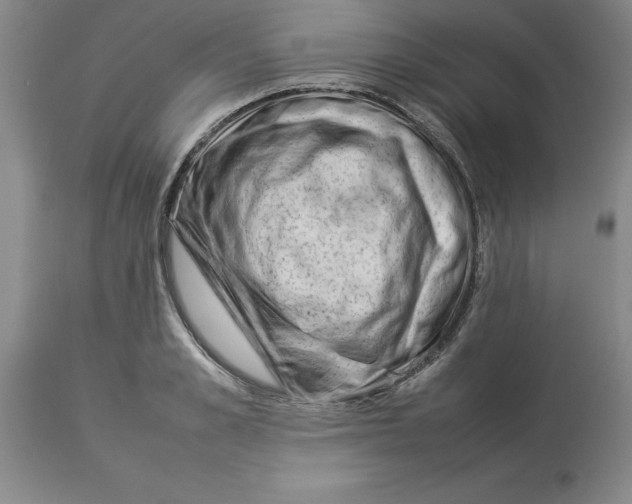 X0000113930989200910231917