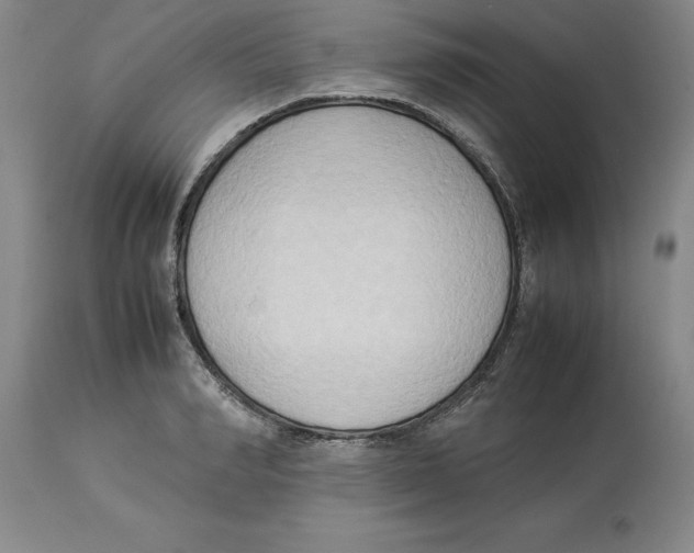 X0000113930990200910231917