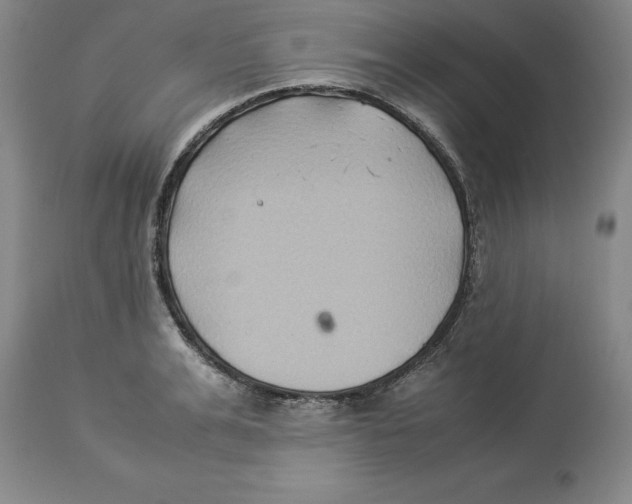 X0000113930991200910231917