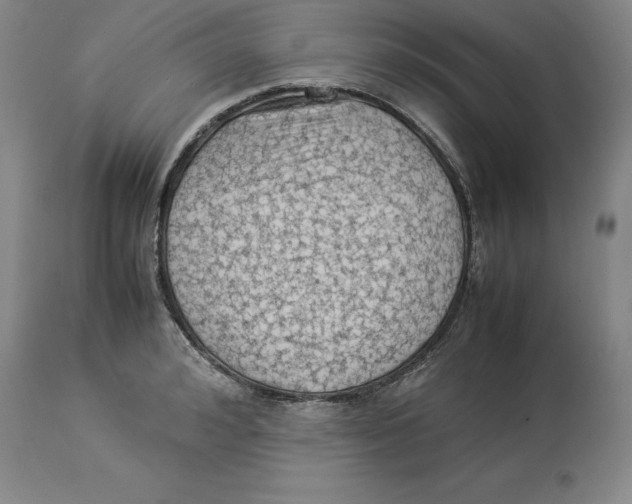 X0000113930992200910231917