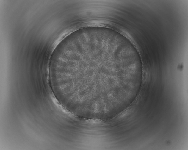 X0000113930994200910231917