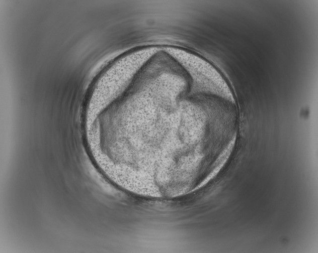 X0000113930995200910231917