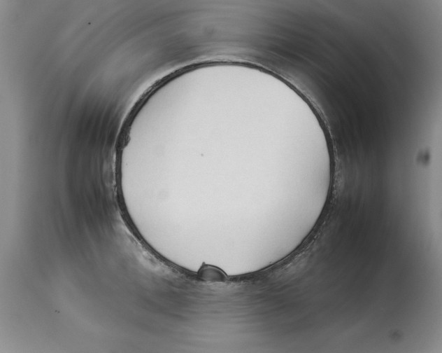 X0000113930996200910231917