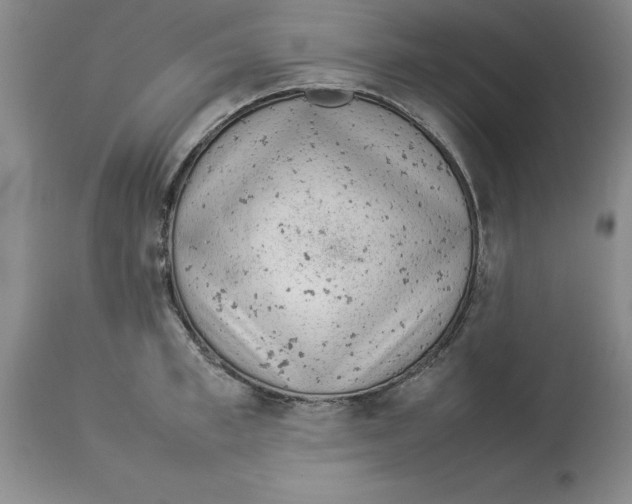 X0000113930997200910231917