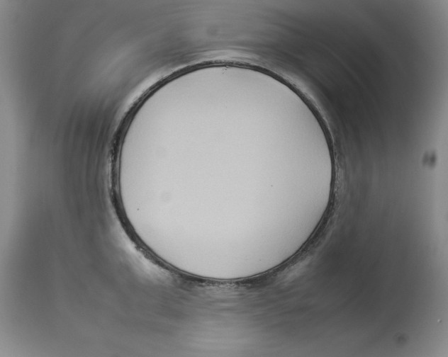 X0000113930999200910231917