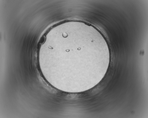 X0000113931000200910231917
