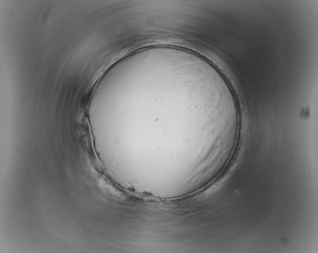X0000113931001200910231917