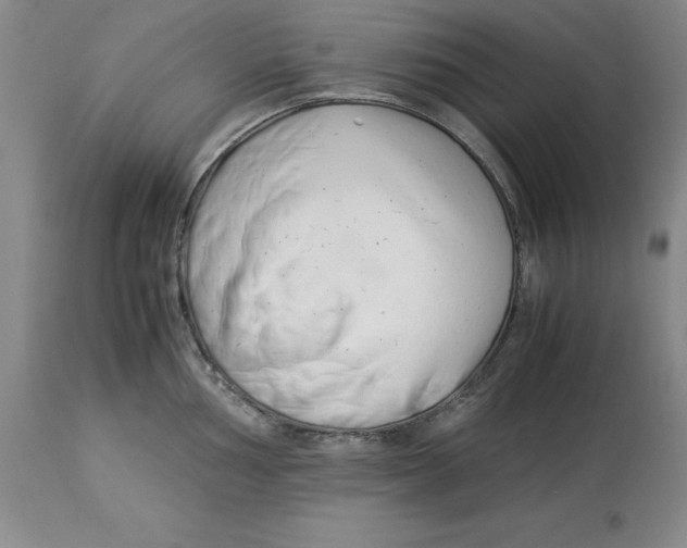 X0000113931002200910231917