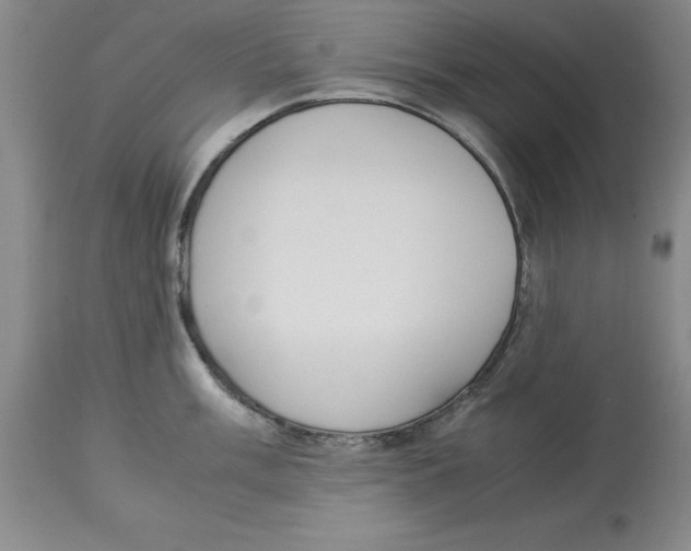 X0000113931003200910231917