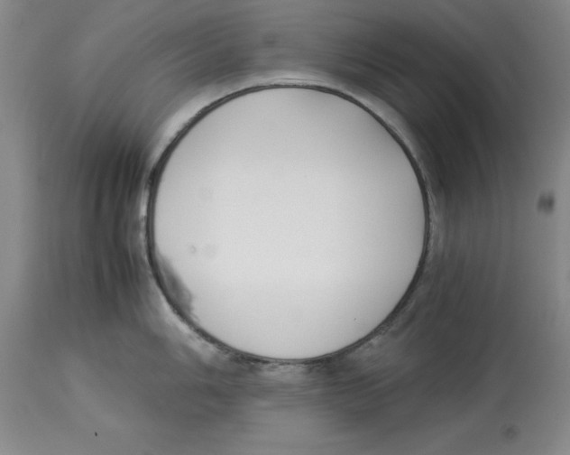 X0000113931006200910231917