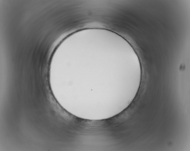 X0000113931008200910231917