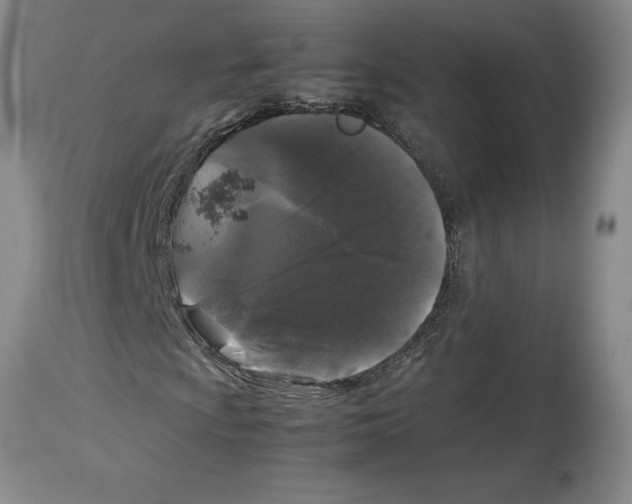 X0000113931009200910231916