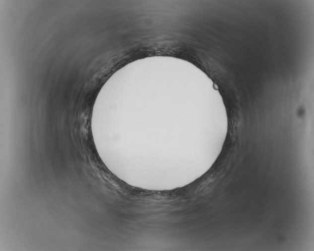 X0000113931010200910231916