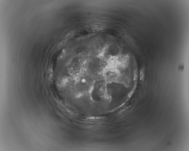 X0000113931011200910231916