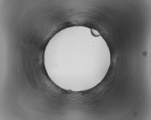 X0000113931012200910231916