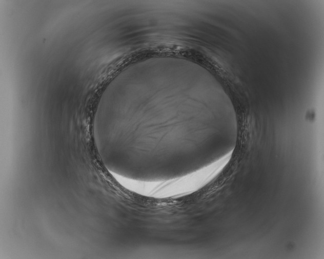 X0000113931013200910231916