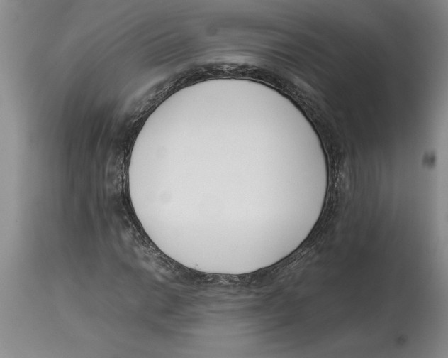 X0000113931014200910231917