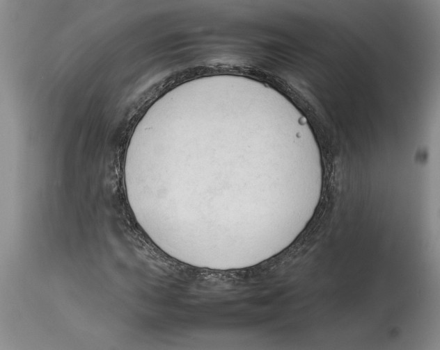 X0000113931015200910231917