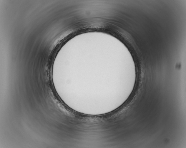 X0000113931018200910231917