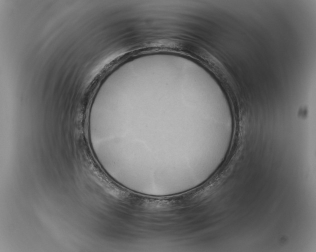 X0000113931019200910231917