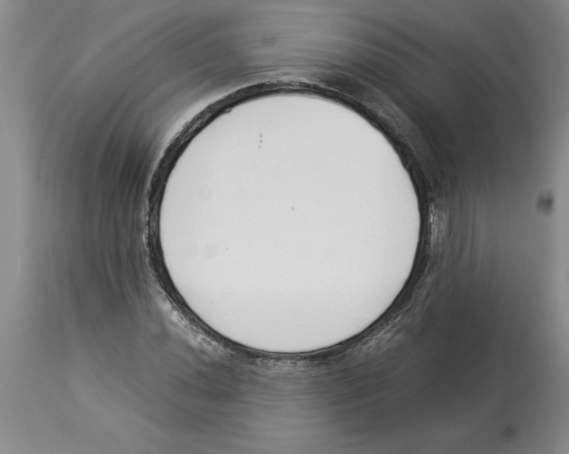 X0000113931020200910231917