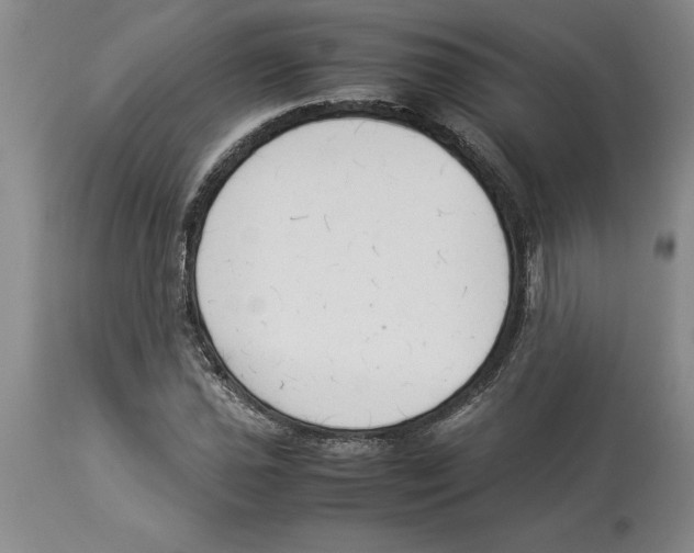 X0000113931021200910231917