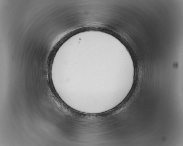 X0000113931022200910231917