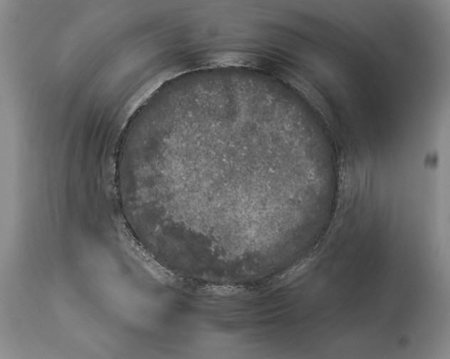 X0000113931023200910231917