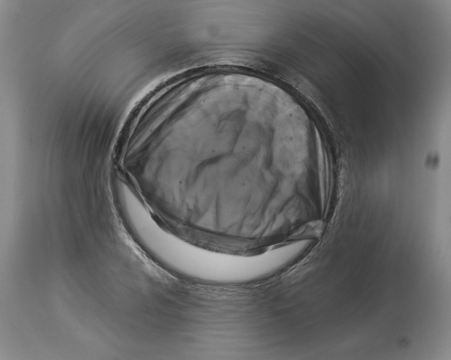 X0000113931024200910231917