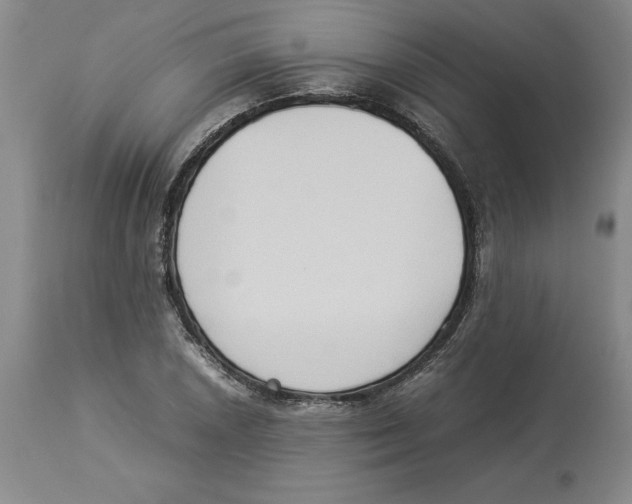 X0000113931026200910231917