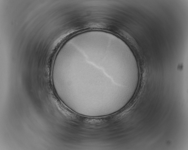 X0000113931027200910231917